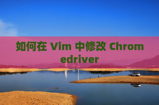 如何在 Vim 中修改 Chromedriver 如何在 Vim 中修改 Chromedriver